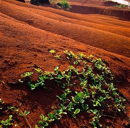 复古射击游戏《死亡收割者》即将登陆主机平台