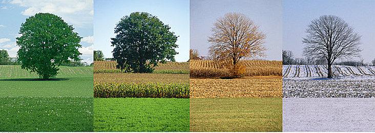 《荒野大镖客：救赎》PS4版已是PS欧服人气最旺游戏